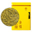 Chinese Huang Jin Ya Green Tea Golden Buds Green Tea 250g/can