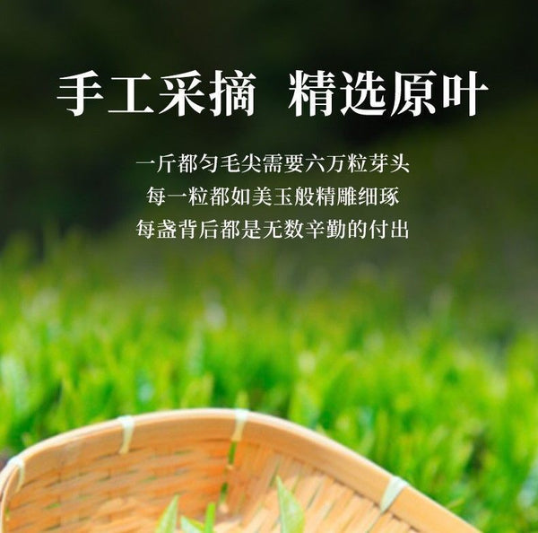 CHINATEA Guizhou Du Yun Mao Jian Spring Tea Fishhook Maojian Green Tea 200g