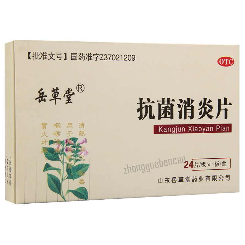岳草堂抗菌消炎片 Yuecaotang Kangjun Xiaoyan Pian Secondary image