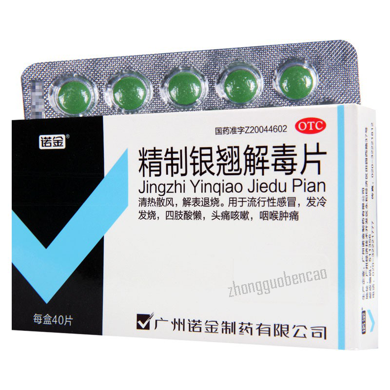 诺金精制银翘解毒片 Nuojin Jingzhi Yinqiao Jiedu Pian Secondary image