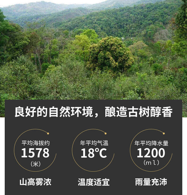 TeaDr. Pu'er Tea Yunnan Black Tea Ancient Tree Dian Hong Brick DianHong 250g