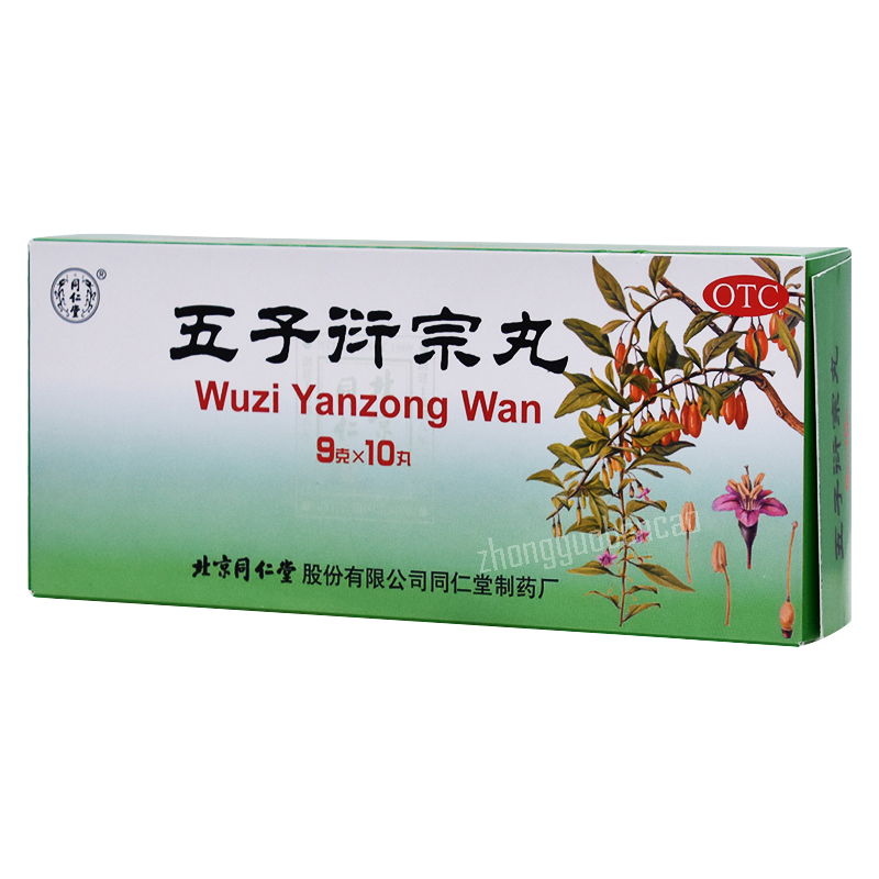 Tongrentang Wuziyanzongwan 同仁堂五子衍宗丸 Secondary image