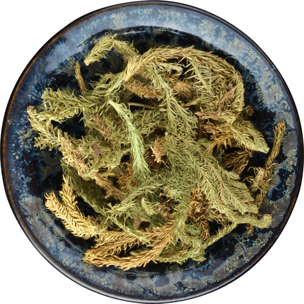 Ecology Tendongrass Natural Healthy Herbal Tea New Shenjincao Herbal Drink 500g