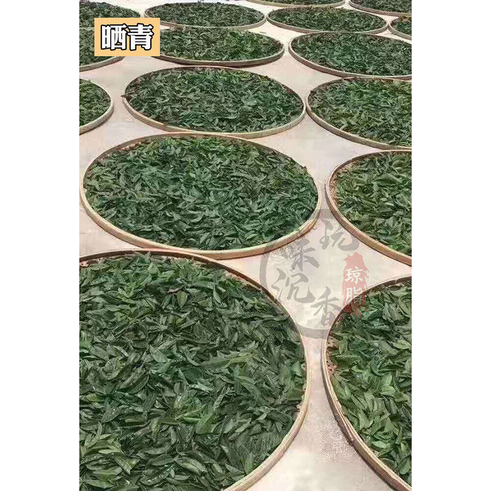 Qinan Natural Health Herb Tea Chenxiang Tea 250g沉香茶叶奇楠沉香茶叶 天然安神助好睡眠茶棋楠养生茶 特级特产