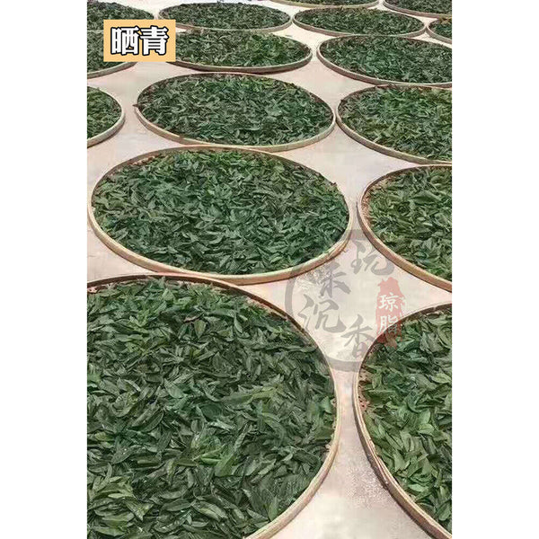 Qinan Natural Health Herb Tea Chenxiang Tea 250g沉香茶叶奇楠沉香茶叶 天然安神助好睡眠茶棋楠养生茶 特级特产