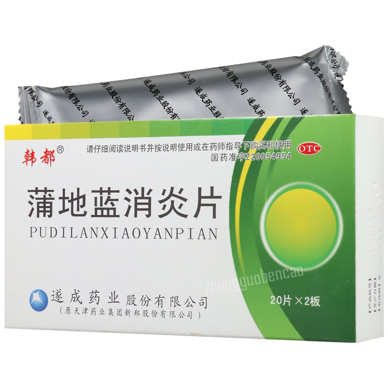 Handu Pudilan Xiaoyan Pian 韩都蒲地蓝消炎片 Secondary image