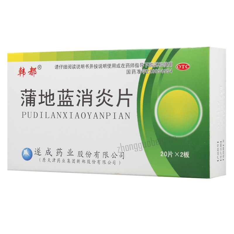 Handu Pudilan Xiaoyan Pian 韩都蒲地蓝消炎片 Main image