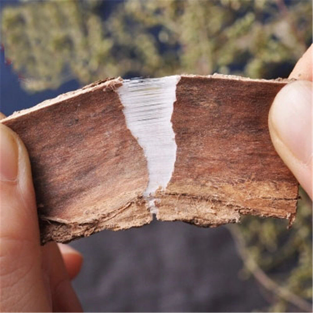 100% Natural Eucommia Bark/Eucommiae Cortex, Dried Bulk 杜仲皮250g