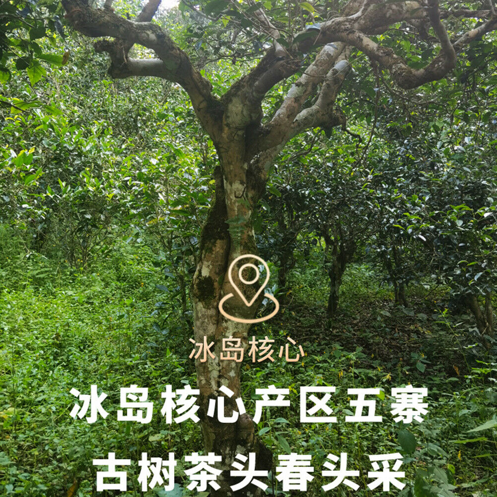 Xin Yi Hao Bing Dao Tian Gu Shu Pu Er Cha Shu Cha Tuo Cha新益号冰岛甜古树普洱茶熟茶沱茶小粒装