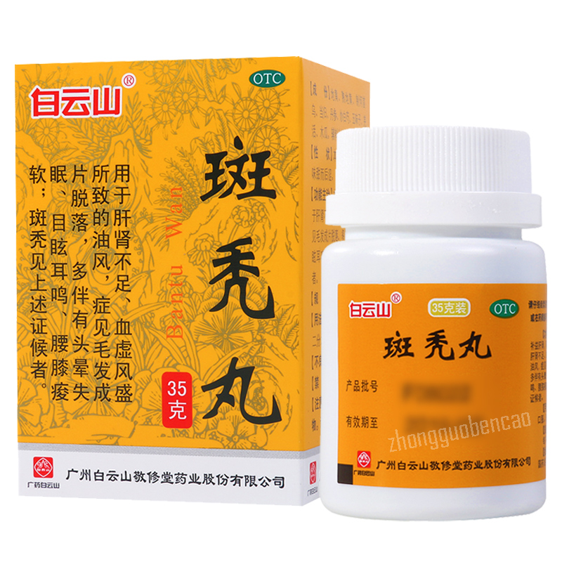 白云山斑秃丸 Baiyunshan Bantu Wan Hairloss Prevention Secondary image