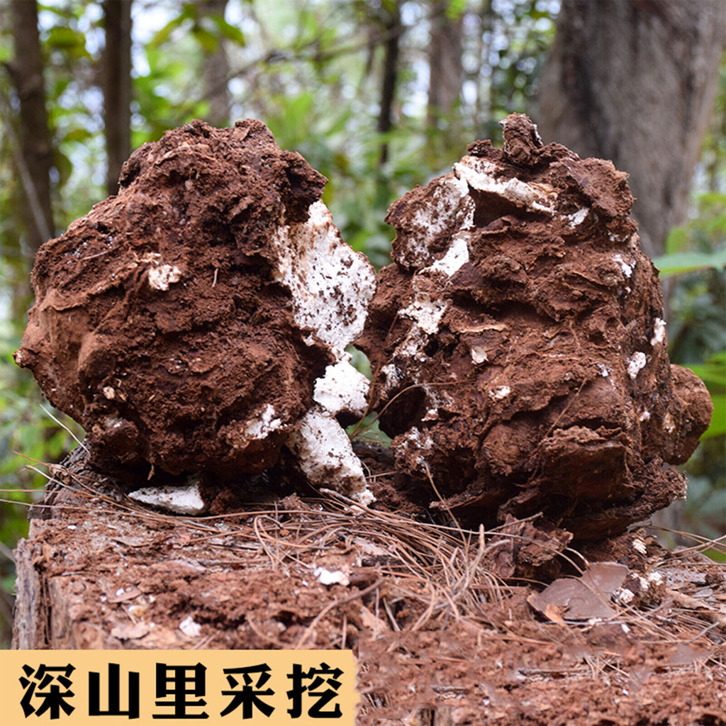 Poria Cocos Used for Soup Porridge Health Care Natural Organic Herbal Tea 500g