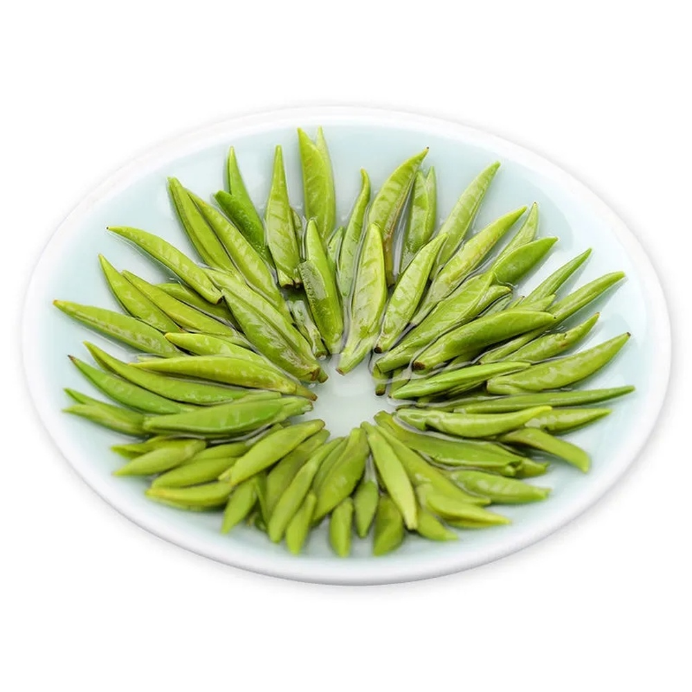 Green Tea Gift Box China Organic Jin Tan Que She Hand Picked Sparrow Tongue 50g
