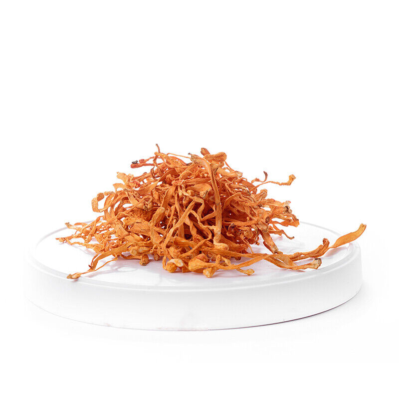 China Herbal Cordyceps Flower Ecology Cordyceps Militaris/Chong Cao Hua 50g-500g