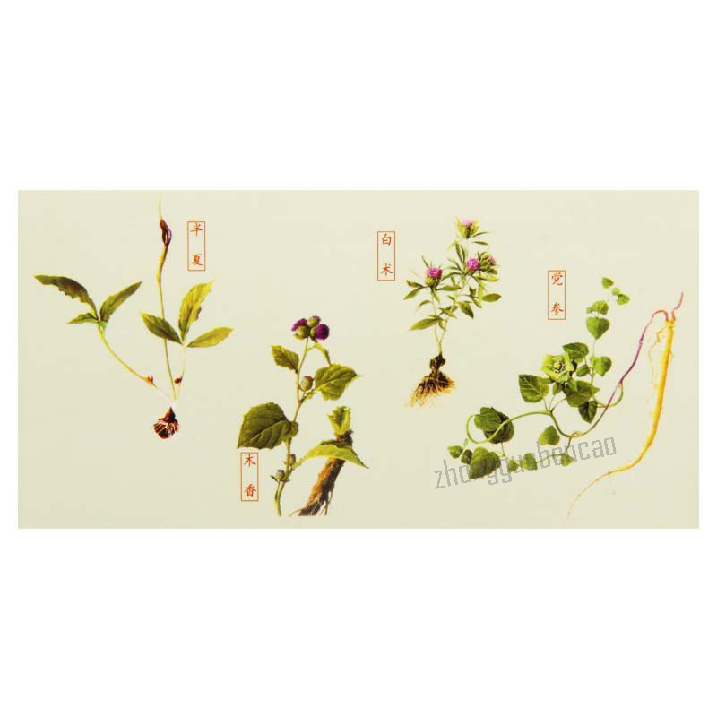 Zhongjing Xiangsha Liujun Wan 仲景香砂六君丸