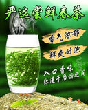 Mao Jian Green Tea Ming Qian Premium Xinyang Maojian Tea Xin Yang Tea 250g Tin