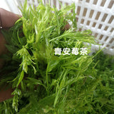 Organic Ecology Tea Top Grade ZhangJiaJie Mao Yan Mei Moyeam Wild Vines Teng Cha