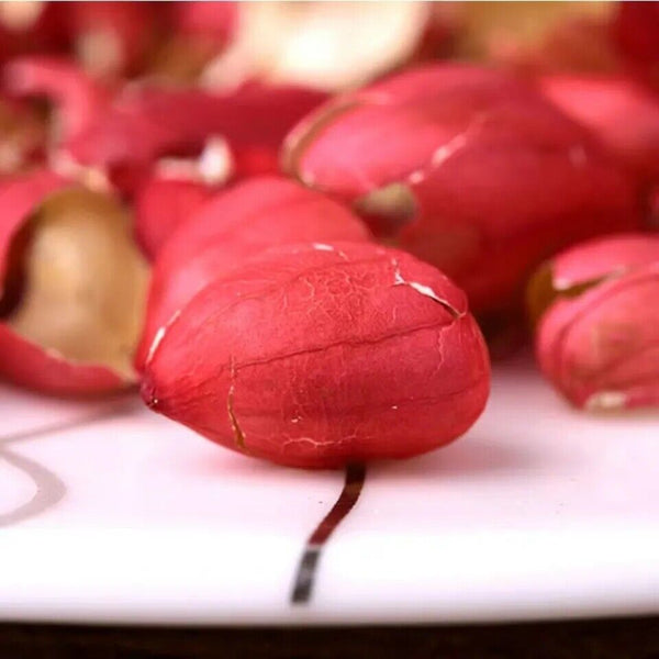 Increase Platelet Peanut Skin Peanut Coat 250g 血小板气血滋养新鲜红皮五红汤同花生红衣花生皮长果衣