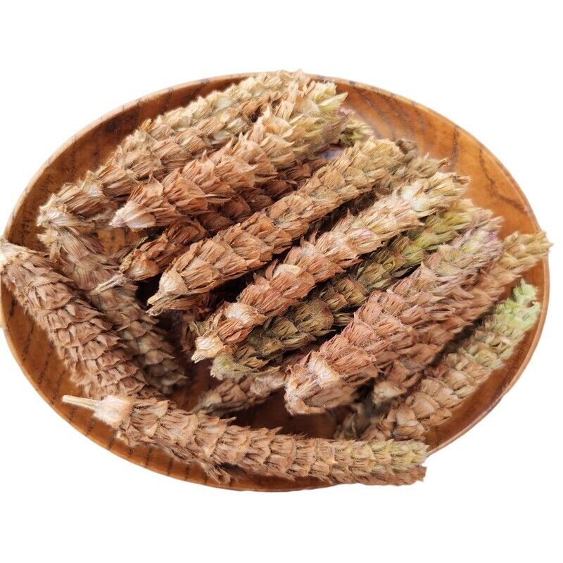 夏枯草 Xia Ku CaoPrunella Vulgaris Chinese herbs Common selfhe Spica Prunellae