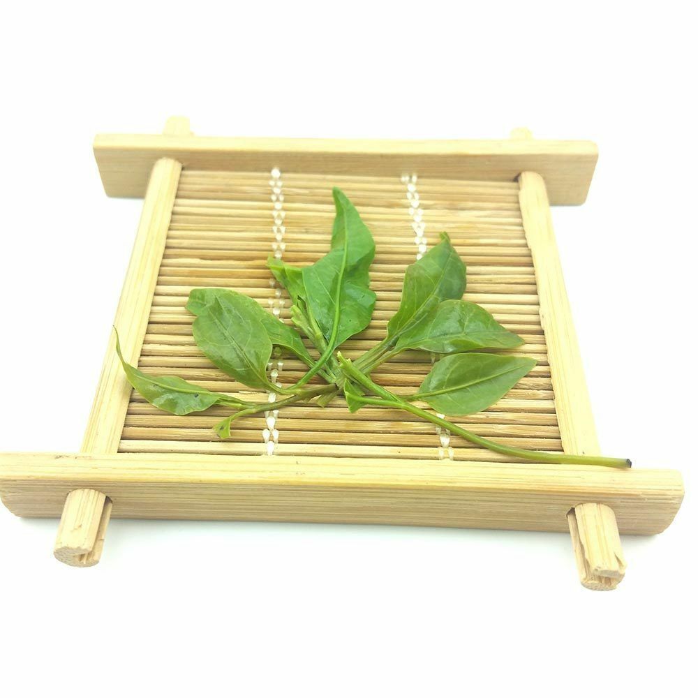Natural Small Leaf Kuding Tea Personal Health Care Hainan Herbal Bitter Tea