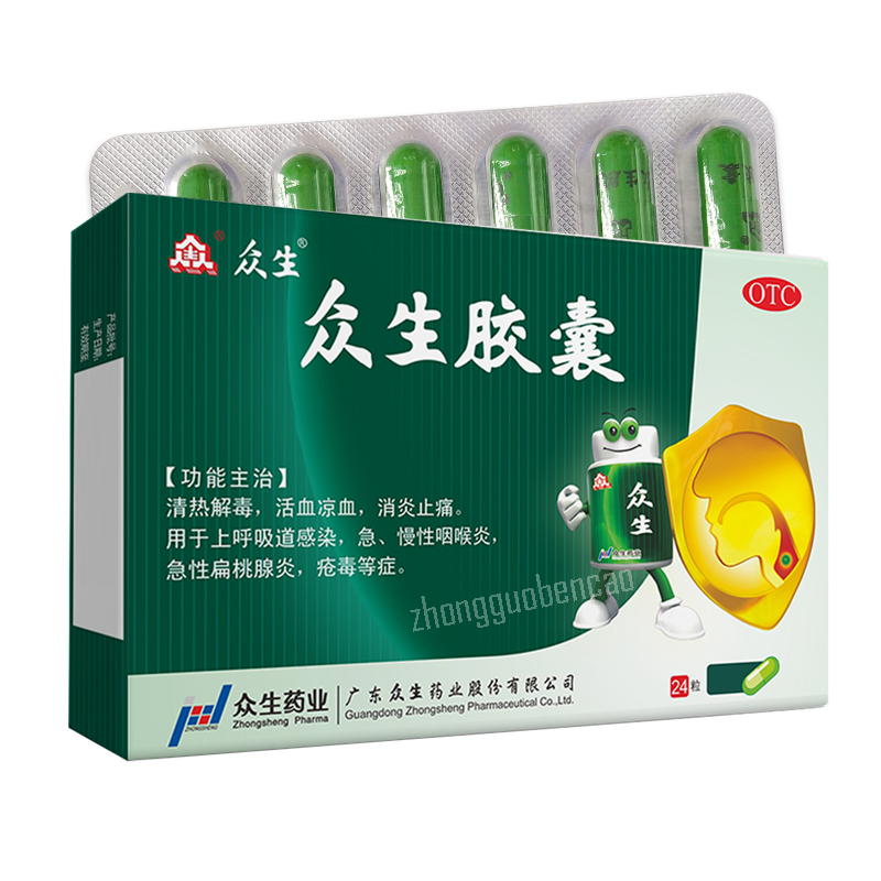 Zhongsheng Zhongsheng Jiaonang 众生众生胶囊 Secondary image