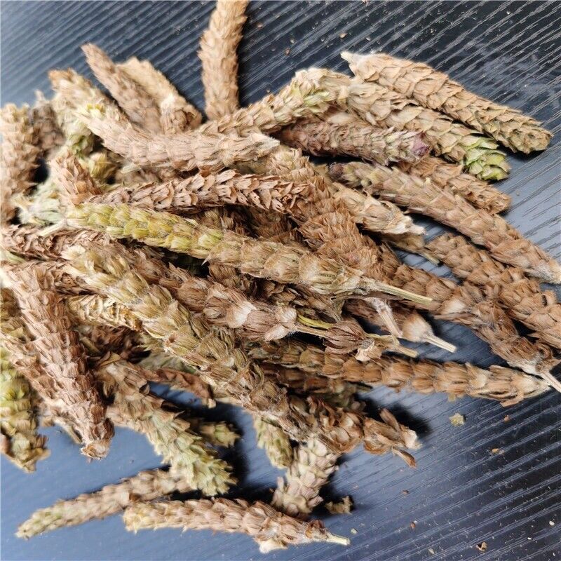 夏枯草 Xia Ku CaoPrunella Vulgaris Chinese herbs Common selfhe Spica Prunellae