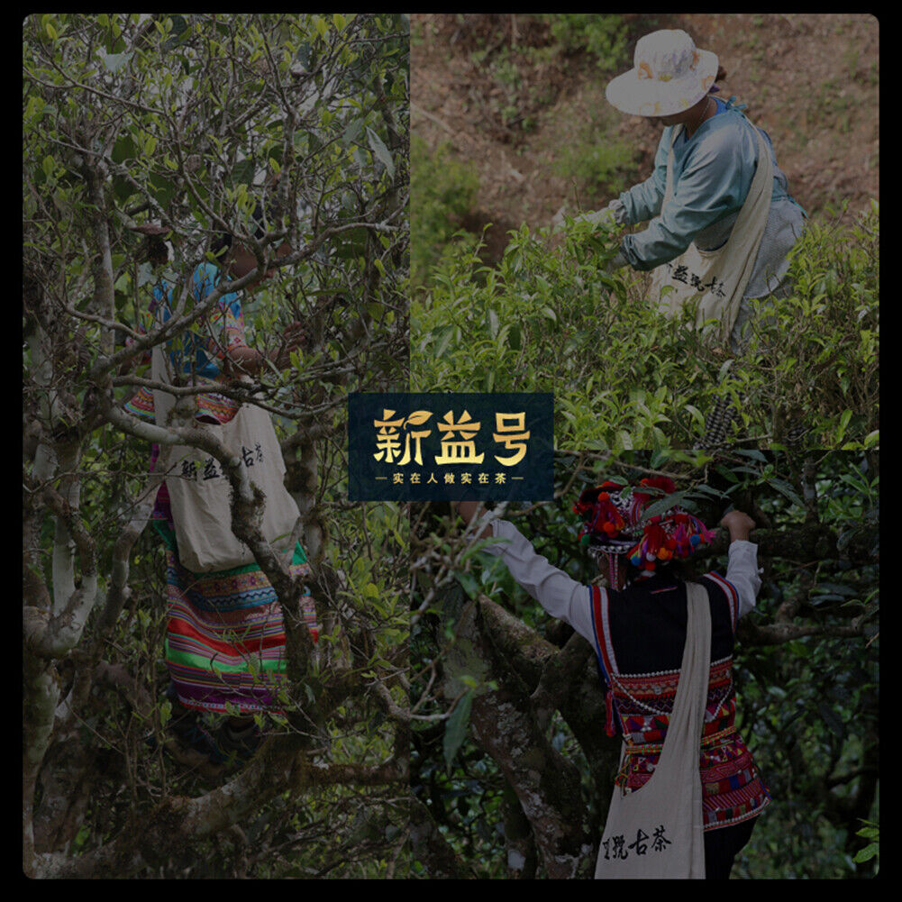 Natural Healthy Old Tea Ripe Pu'er Tea 250g 新益号 原味普洱 普洱茶 熟茶叶 勐海陈年老茶 天然健康小沱茶 香醇