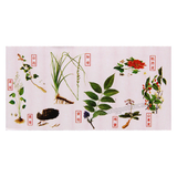 Zhongjing Zhibai Dihuang Wan 仲景知柏地黄丸