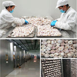 Help Blood Sugar Balance Natural Black Garlic Fermented 120 Days Regulate 500g