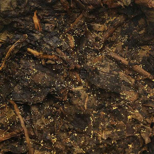 Hunan Anhua Black Tea Anhua Baishaxi 1953 Fucha Golden Flower Dark Tea 338g
