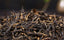 58 Dianhong Tea Yunnan Dian Hong Black Tea Original Phoenix Brand Classical 380g