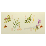 Zhongjing Fuzi Lizhong Wan 仲景附子理中丸