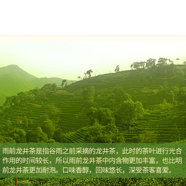 West Lake Longjing Tea Before The Rain Green Fragrant Tea 西湖牌 龙井茶叶 雨前浓香新茶100g
