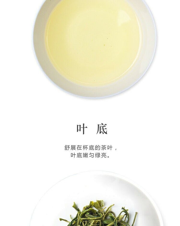 Chinese Hunan Mao Jian Green Tea JUN SHAN WANG Ming Qian Spring New Tea 250g