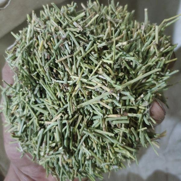 Pure Herbal Green Tea Wild Tea Health Herbs Huang Tea Black Red Loose weight