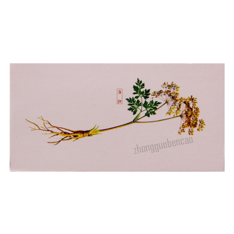 仲景浓缩当归丸 Zhongjing Nongsuo Danggui Wan Main image