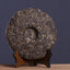 Zhu Yuan Yu Run Pu-erh Tea Cake HAIWAN Ecology Cha Puer Brand Old Comrade 400g