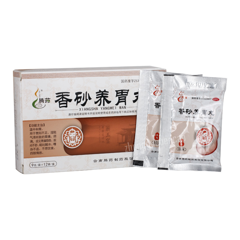 Tengyao Xiangsha Yangwei Wan 腾药香砂养胃丸 Main image