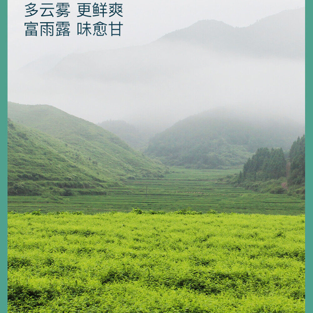 Natural Health HerbJiaogulan Cha Gynostemma Tea 艺福堂七叶绞股蓝茶 平利龙须茶泡水天然健康 降三高 助于延缓衰老