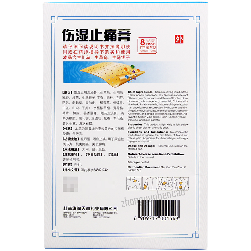 天和伤湿止痛膏 Tianhe Shangshi Zhitong Gao