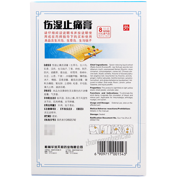 天和伤湿止痛膏 Tianhe Shangshi Zhitong Gao