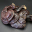 500g Reishi Soup Purple Ganoderma Lucidum Wild Lingzhi Mushroom Herbs