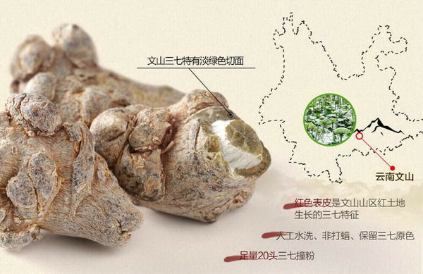 Healthy Sanqi Tea Organic Premium Sanchi Ginseng Soup Reduce Inflammation Pain