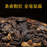 Xin Yi Hao Bulang Mountain Puerh 200 Years Old Tree Tuo Cha Ripe Pu-erh Tea 500g