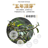 100%pure Shihu Tiepi Dendrobium Powder Natural Health HerbalTea修正霍山铁皮石斛粉纯粉天然保健草本