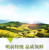 CHINATEA Guizhou Du Yun Mao Jian Spring Tea Fishhook Maojian Green Tea 200g