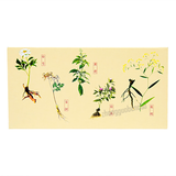 Zhongjing Xiaoyao Wan仲景逍遥丸