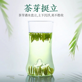 Green Tea Gift Box China Organic Jin Tan Que She Hand Picked Sparrow Tongue 50g