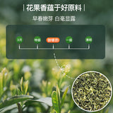 Top-grade China Green Tea Snail Spring Tea EFUTON Mingqian Bi Luo Chun 250g