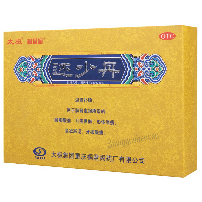 Taiji Huanshao Dan 太极还少丹 Secondary image