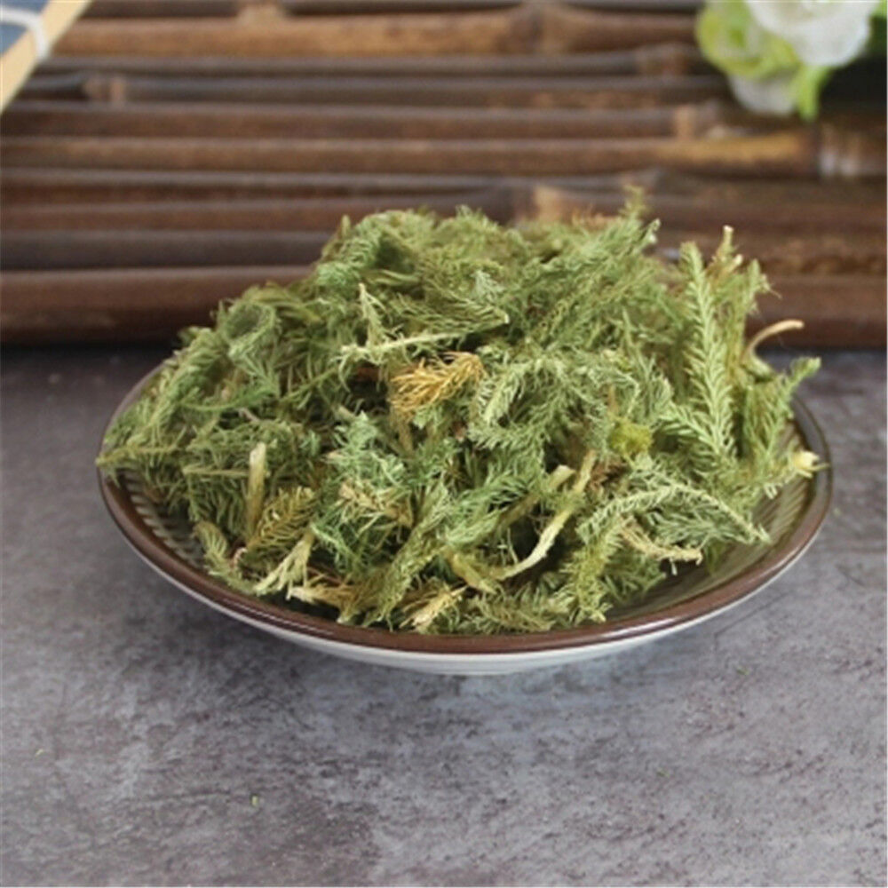 Chinese Herbs 100% Natural Shen Jin Cao Japanese Clubmoss Medicinal250g Secondary image